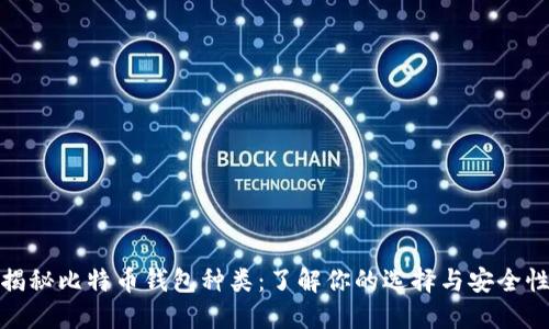 揭秘比特币钱包种类：了解你的选择与安全性