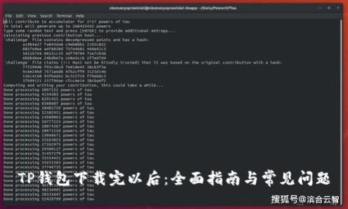 TP钱包下载完以后：全面指南与常见问题